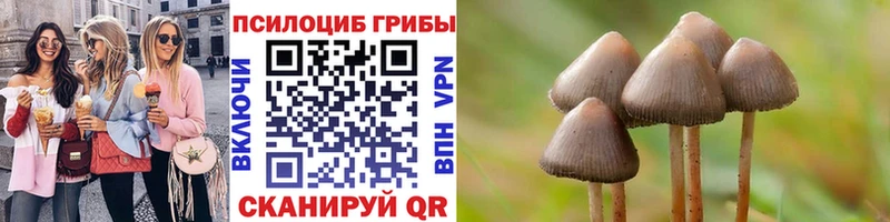 что такое   Южно-Сахалинск  Галлюциногенные грибы мухоморы 