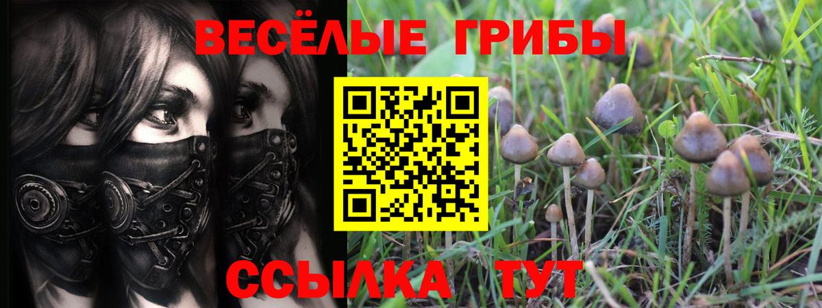 Галлюциногенные грибы мухоморы  Вход с VPN  Галлюциногенные грибы Cubensis  где найти наркотики  Южно-Сахалинск 